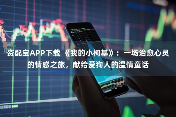 资配宝APP下载 《我的小柯基》：一场治愈心灵的情感之旅，献给爱狗人的温情童话